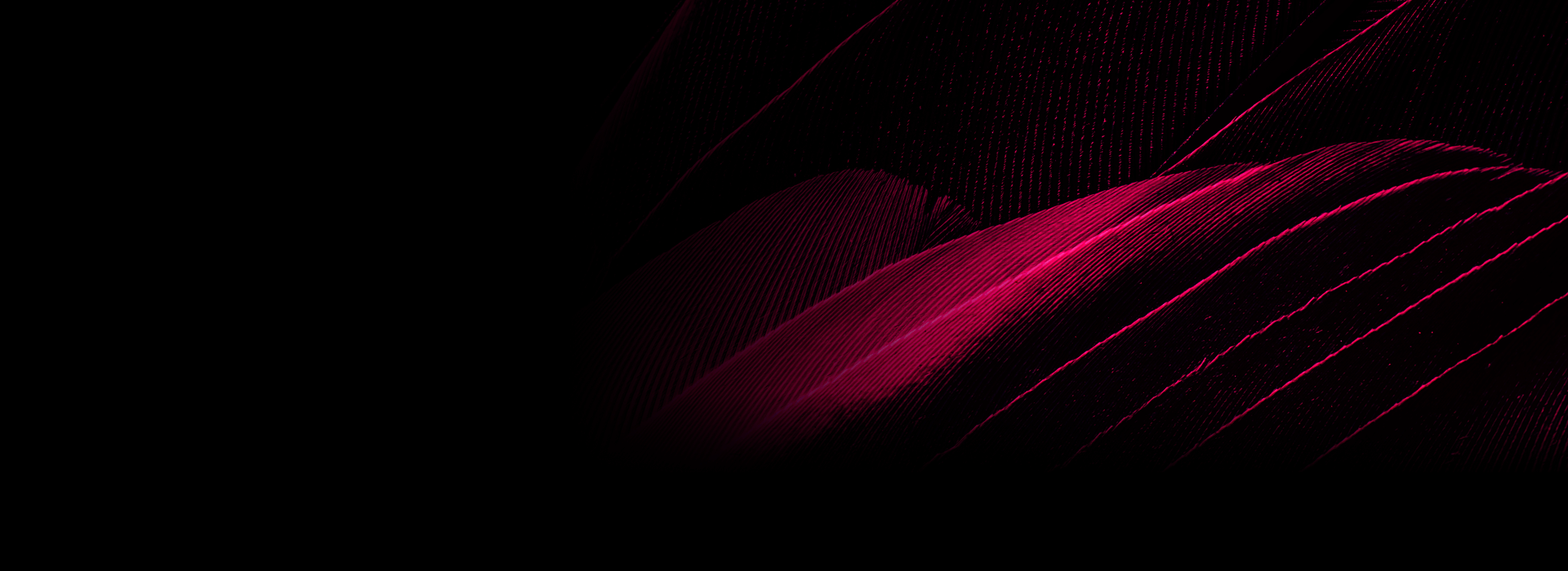 Background Canto 8CA