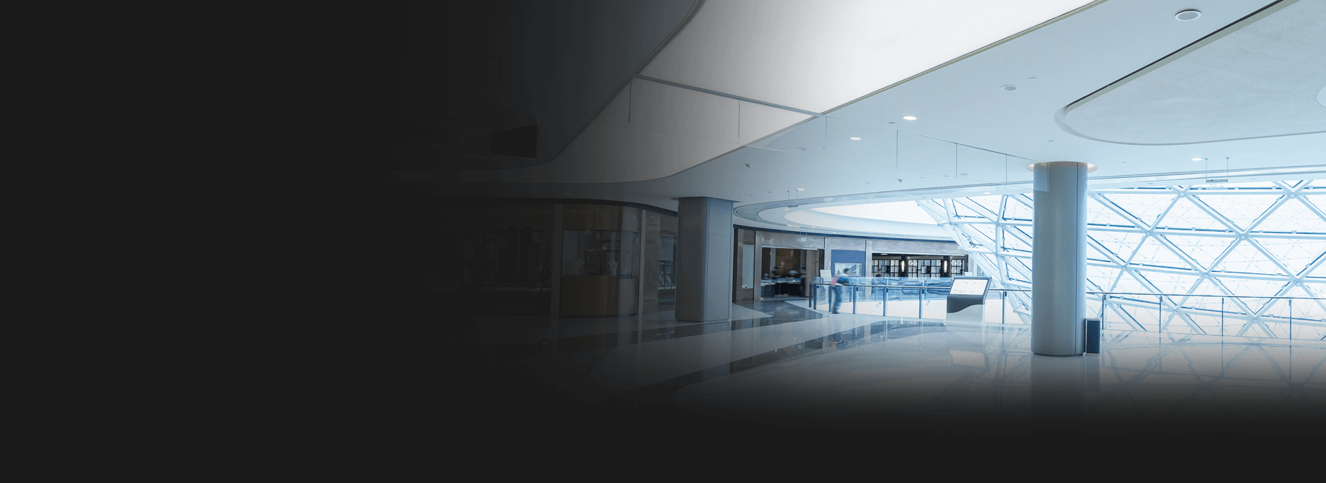 Background ELYSION 8ST